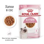 Royal Canin Kitten – Мокра храна с парченца в сос за котенца до 12 месеца - Image 2