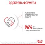 Royal Canin Mother & Babycat – Мокра храна с ултра мек мус за бременни и кърмещи котки и котенца до 4 месеца - Image 5