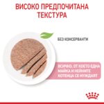 Royal Canin Mother & Babycat – Мокра храна с ултра мек мус за бременни и кърмещи котки и котенца до 4 месеца - Image 4