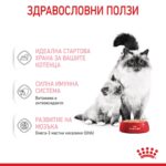 Royal Canin Mother & Babycat – Мокра храна с ултра мек мус за бременни и кърмещи котки и котенца до 4 месеца - Image 2