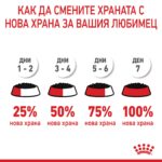 Royal Canin Mother & Babycat – Мокра храна с ултра мек мус за бременни и кърмещи котки и котенца до 4 месеца - Image 6