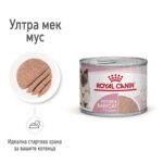 Royal Canin Mother & Babycat – Мокра храна с ултра мек мус за бременни и кърмещи котки и котенца до 4 месеца - Image 3