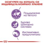 Royal Canin Sterilised – Мокра храна за кастрирани котки в зряла възраст, хапки в сос - Image 2