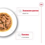 Royal Canin Mini Adult - Мокра храна за кучета от дребни породи (до 10 кг) в зряла възраст, хапки в сос 85 г - Image 2