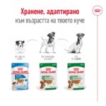 Royal Canin Mini Adult - Мокра храна за кучета от дребни породи (до 10 кг) в зряла възраст, хапки в сос 85 г - Image 5