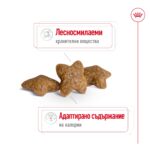 ROYAL CANIN Mini Adult - Суха храна за кучета в зряла възраст от дребни породи (до 10 кг) - над 10 месеца - Image 3
