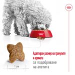 ROYAL CANIN Mini Adult - Суха храна за кучета в зряла възраст от дребни породи (до 10 кг) - над 10 месеца - Image 2