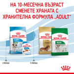 Royal Canin Mini Puppy – суха храна за кученца от дребни породи от 2 до 10 месеца - Image 6