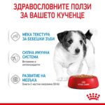 Royal Canin Mini Puppy - Мокра храна за кученца от дребни породи, хапки в сос 85 г - Image 2
