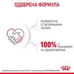 Royal Canin Starter Mother & Babydog – Мокра храна за бременни и кърмещи кучета и кученца до 2 месеца, с ултра мек мус - Image 4