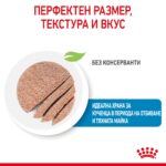Royal Canin Starter Mother & Babydog – Мокра храна за бременни и кърмещи кучета и кученца до 2 месеца, с ултра мек мус - Image 2