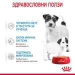 Royal Canin Starter Mother & Babydog – Мокра храна за бременни и кърмещи кучета и кученца до 2 месеца, с ултра мек мус - Image 3