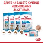 Royal Canin Starter Mother & Babydog – Мокра храна за бременни и кърмещи кучета и кученца до 2 месеца, с ултра мек мус - Image 5