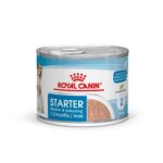 Royal Canin Starter Mother & Babydog – Мокра храна за бременни и кърмещи кучета и кученца до 2 месеца, с ултра мек мус