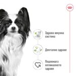 Royal Canin X-SMALL ADULT - Суха храна за кучета от много дребни породи (до 4 кг) - над 10 месеца - Image 2
