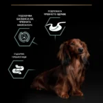Purina Pro Plan Small & Mini Adult Sensitive Digestion – Суха храна за кучета от дребни и мини породи над 1 година с чувствително храносмилане, с високо съдържание на агнешко - Image 4