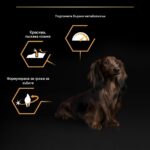 Purina Pro Plan Small & Mini Adult Everyday Nutrition – Суха храна за кучета от дребни и мини породи над 1 година, с високо съдържание на пиле - Image 3