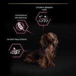Purina Pro Plan Small & Mini Adult Sensitive Skin – Суха храна за кучета от дребни и мини породи над 1 година с чувствителна кожа, с високо съдържание на сьомга - Image 4