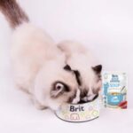 Brit Care Cat Soup with Tuna 75 г – супа с риба тон за котки над 1 година - Image 3