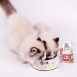 Brit Care Cat Soup with Salmon 75 г – супа със сьомга за котки над 1 година - Image 3