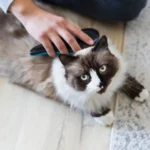 Trixie мека четка за разресване на кучета и котки - Image 6