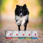 PLATINUM Menu Puppy Chicken 185 г – мокра храна с 84% пилешко месо за подрастващи кучета - Image 6