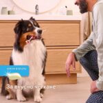 Beaphar Toothbrush & Toothpaste Kit дентален комплект за кучета и котки – четка и паста за зъби, 100 гр - Image 6